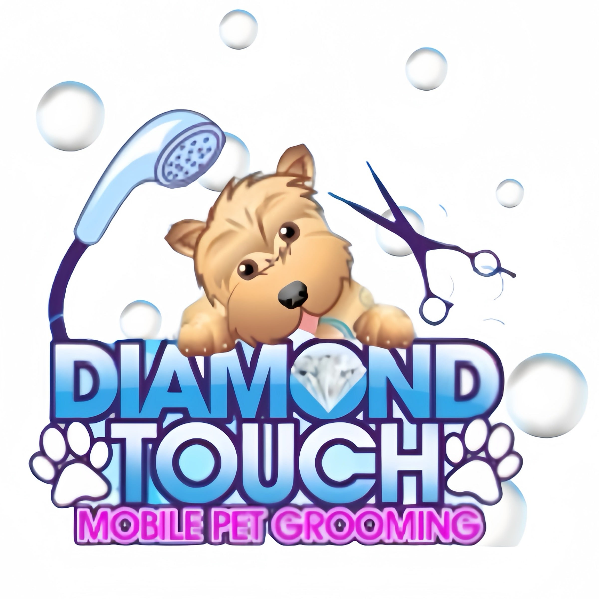 Diamond Touch Grooming