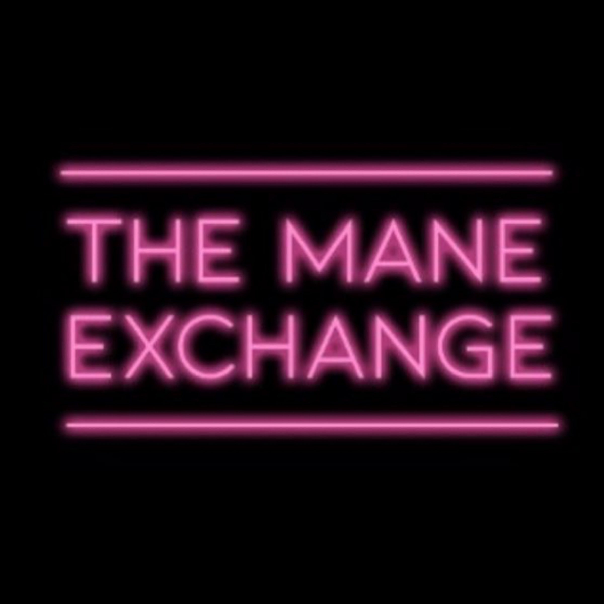The Mane Exchange Brow Studio