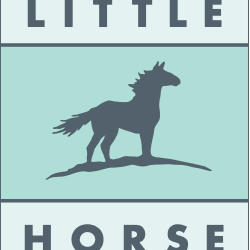Little Horse