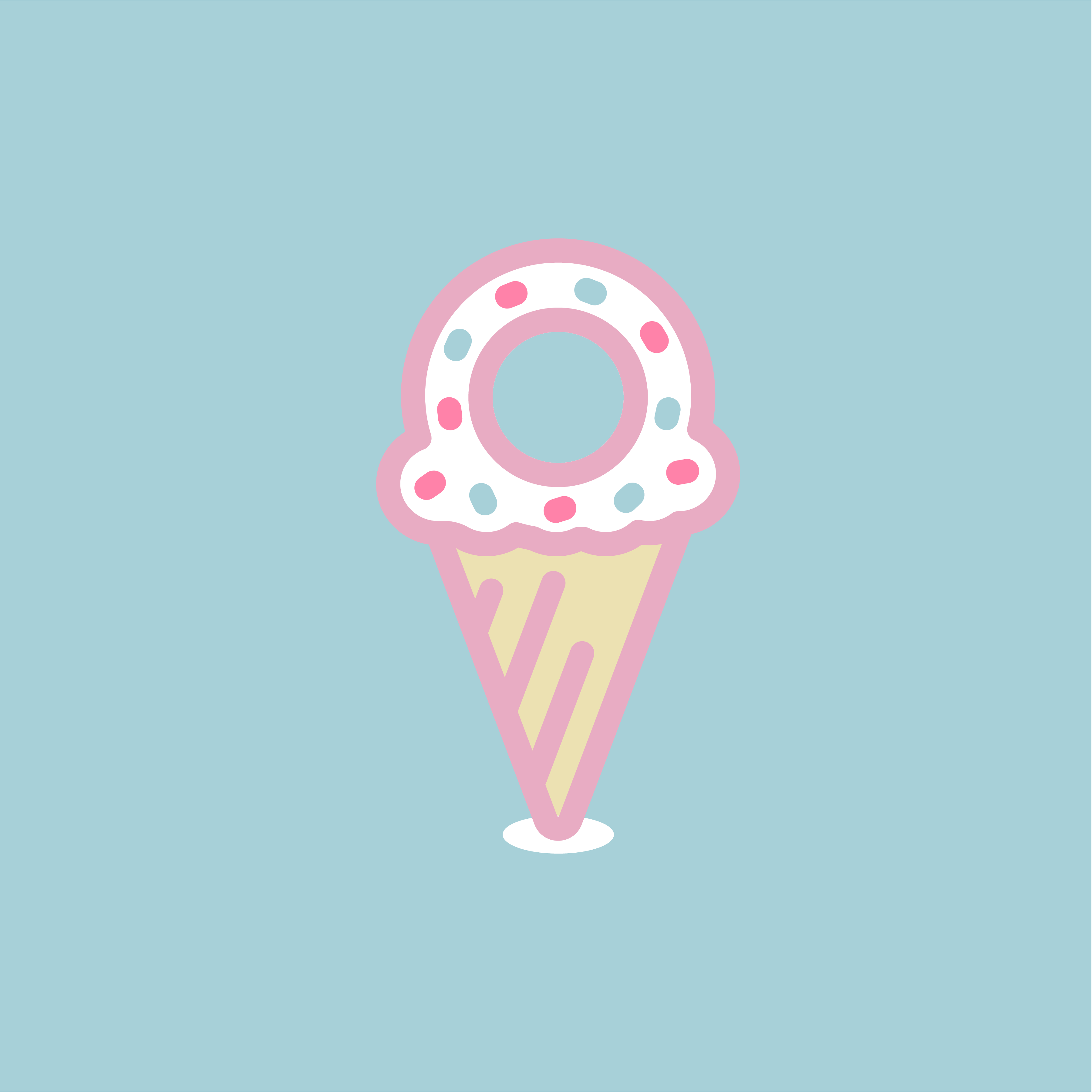 Alsies of Boca Raton