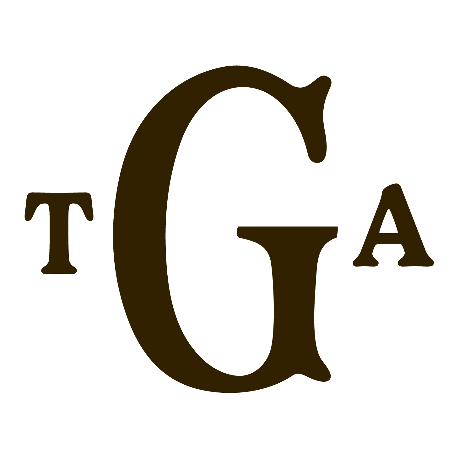 The Garment Architect