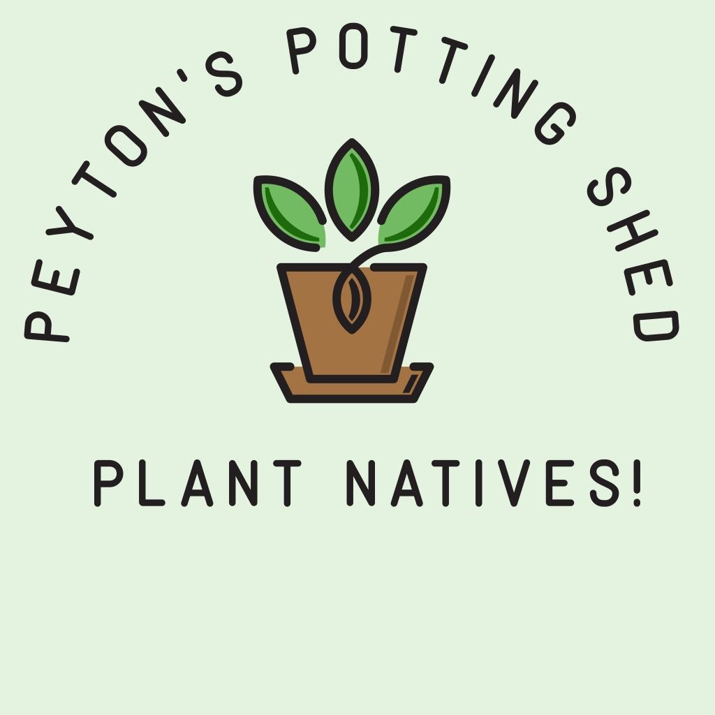 Peyton’s Potting Shed