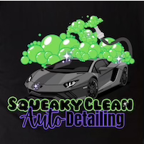 Squeaky Clean Auto Detailing