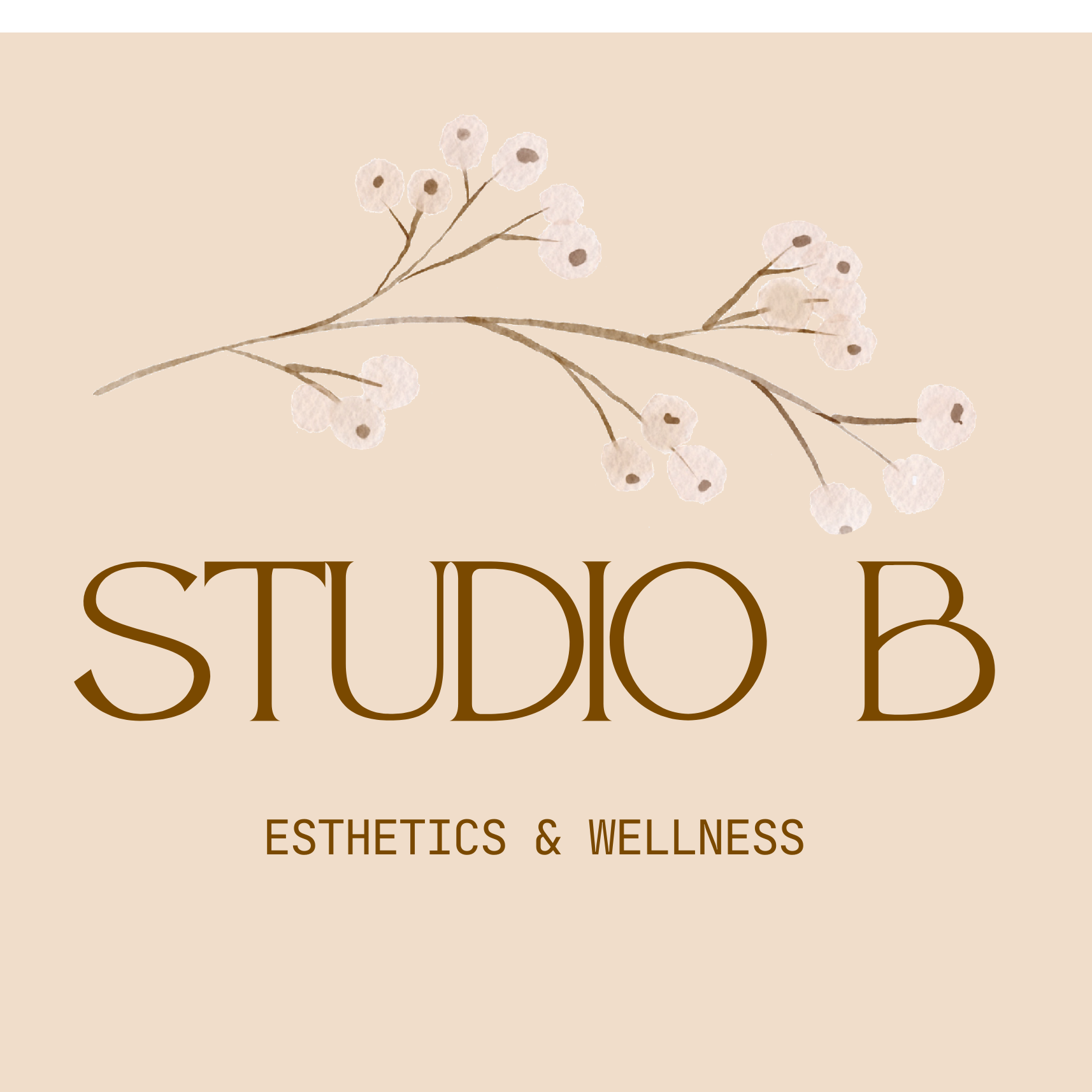 Studio B