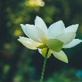 Mindful Healing Spa and Treatment Center LLC