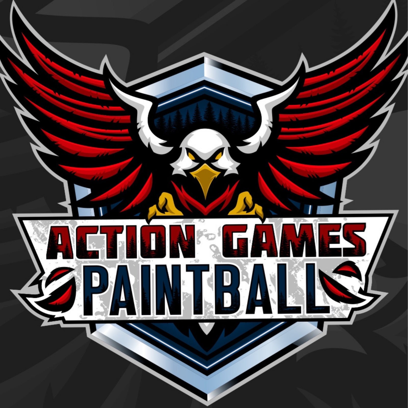 Action Games Paintball