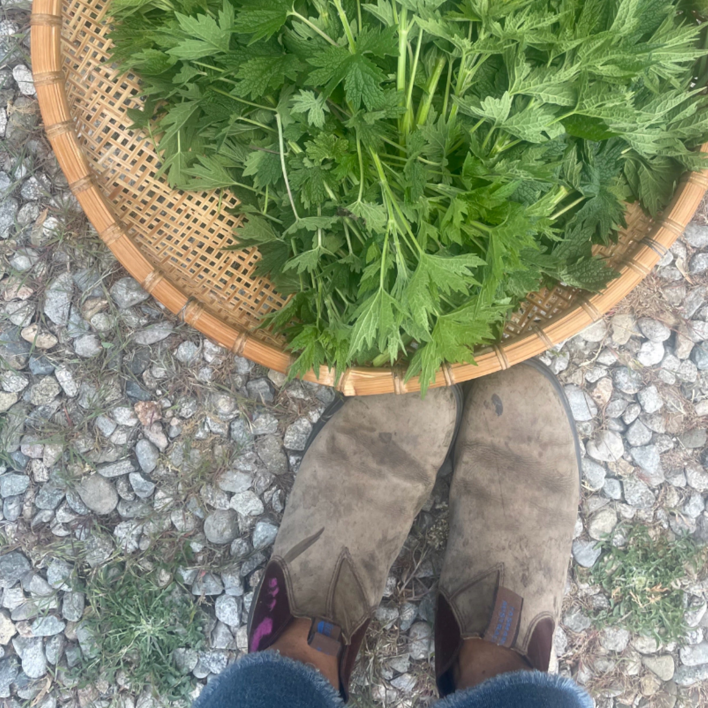 Two Poppies Apothecary