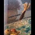 Char's Studio