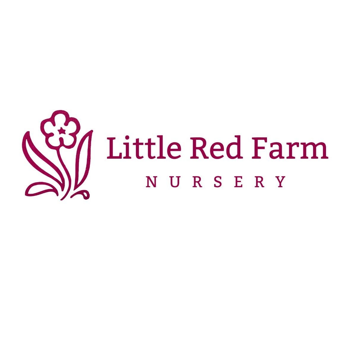 Little Red Farm Nursery