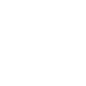 Lonestar Collective Dance