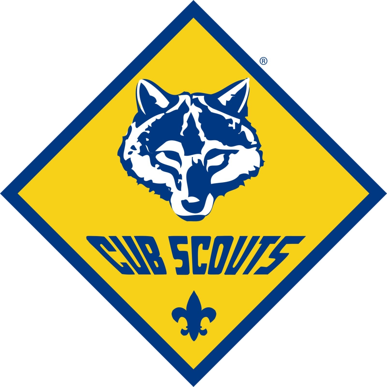 Clifton Springs Cub Scout