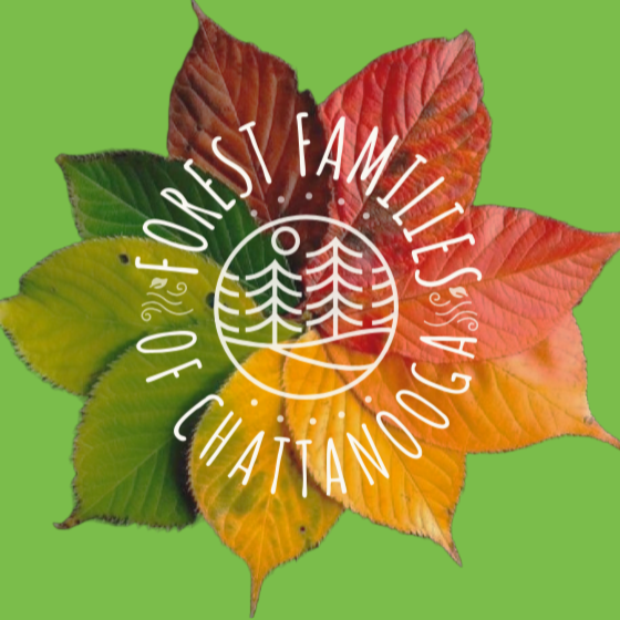 Forest Families of Chattanooga