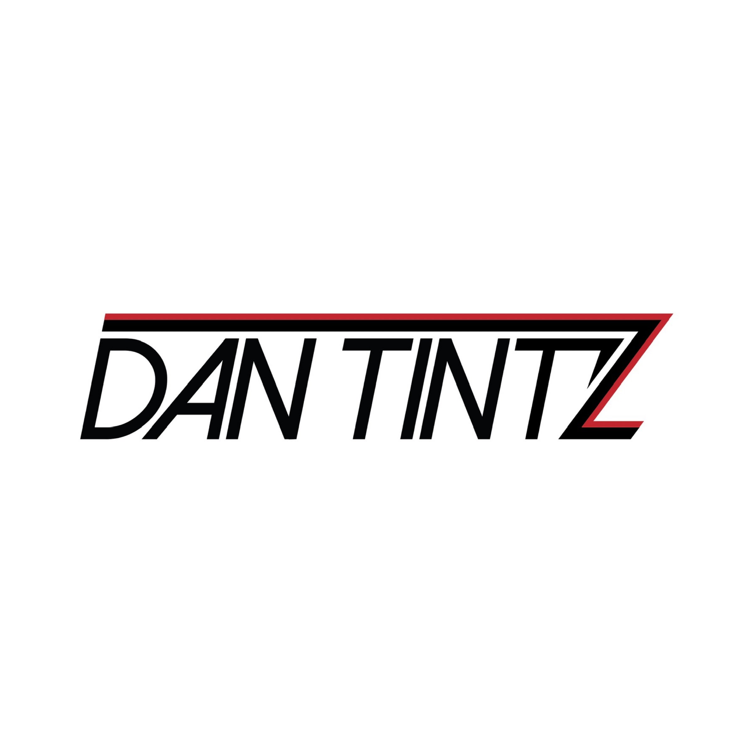 DANTINTZ LLC