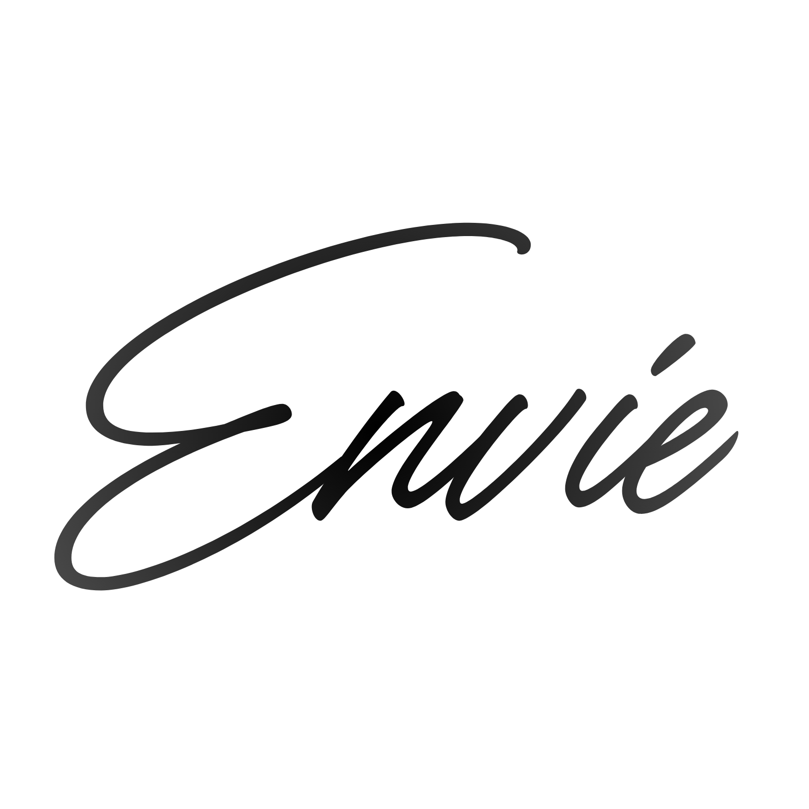 envie lash bar