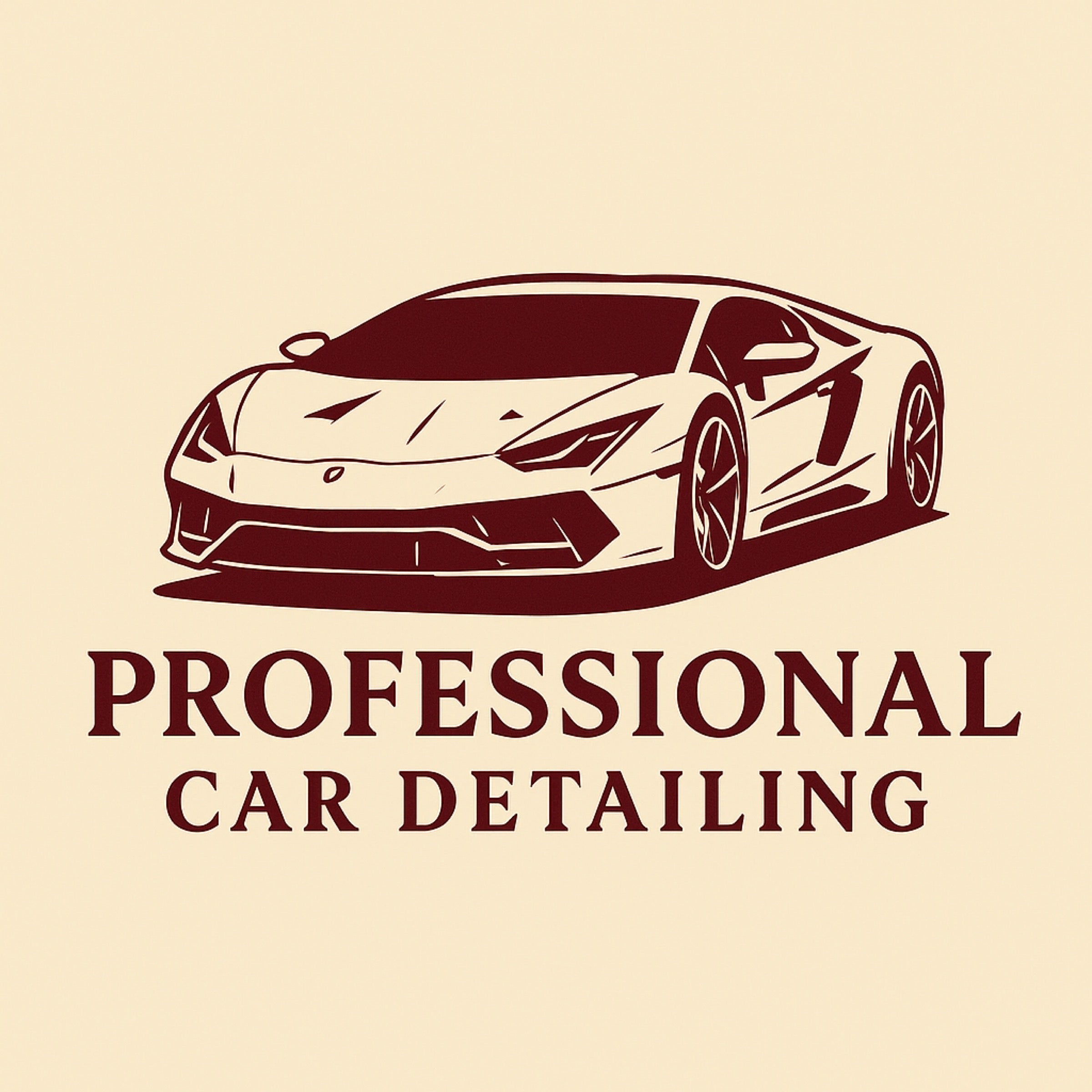 Professional Car Detailing LTD.