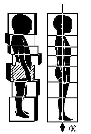 Edward Toal Certified Rolfing®
