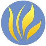 Grain Of Wheat Community Inc