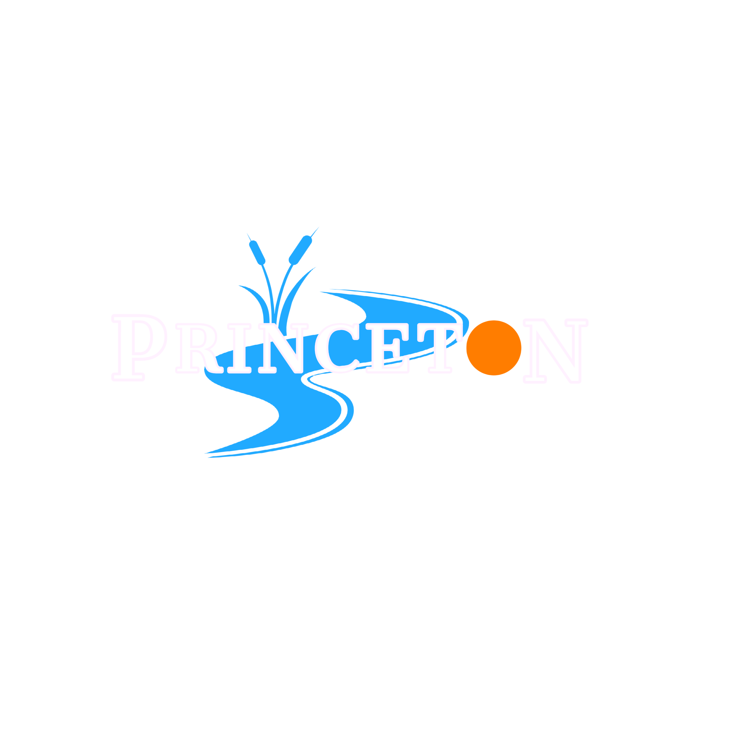 City of Princeton