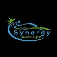 Synergy Auto Spa LLC