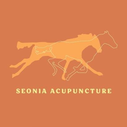 Seonia Acupuncture