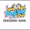 DOGS DAY OUT by Kelsi