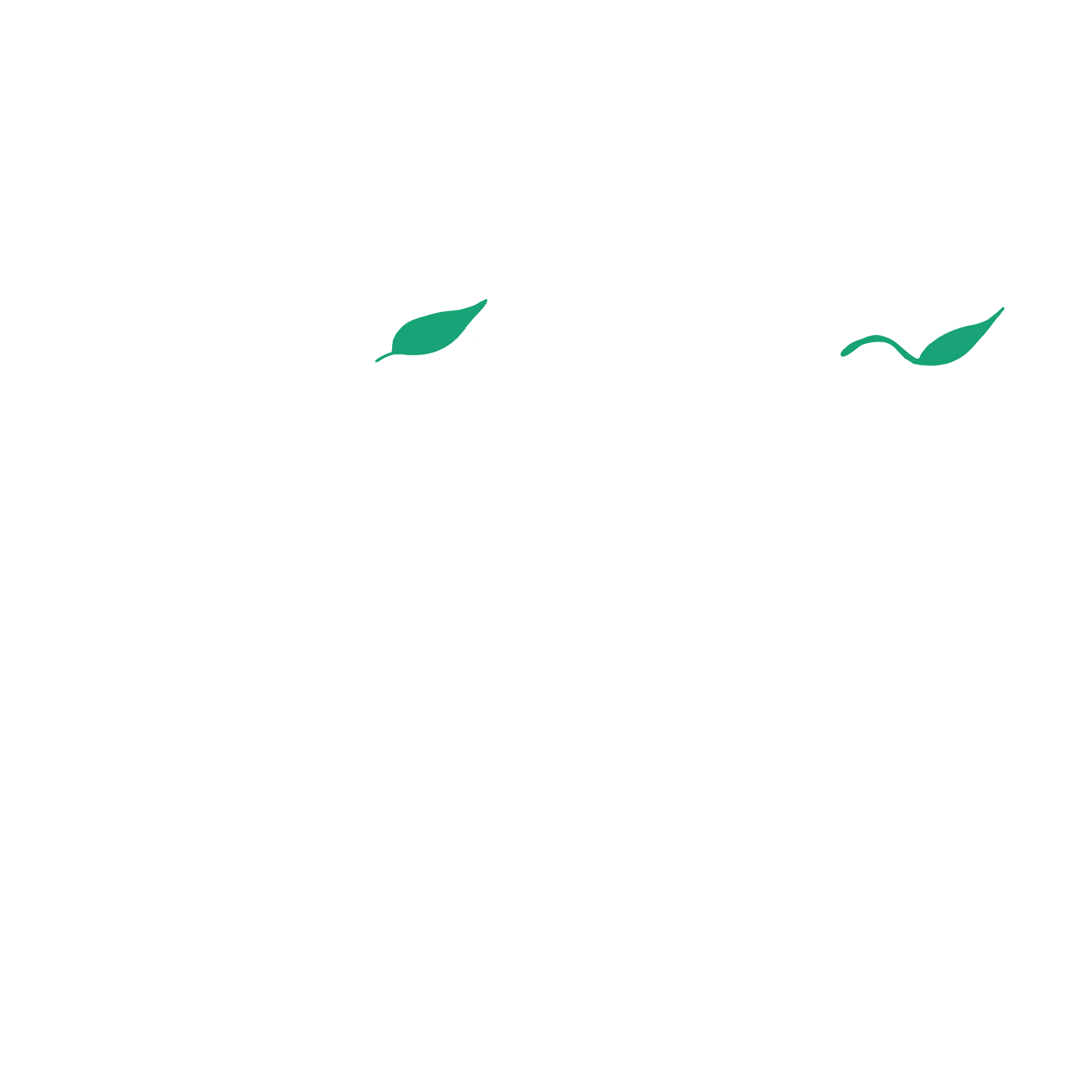 VIVO Las Vegas Studio