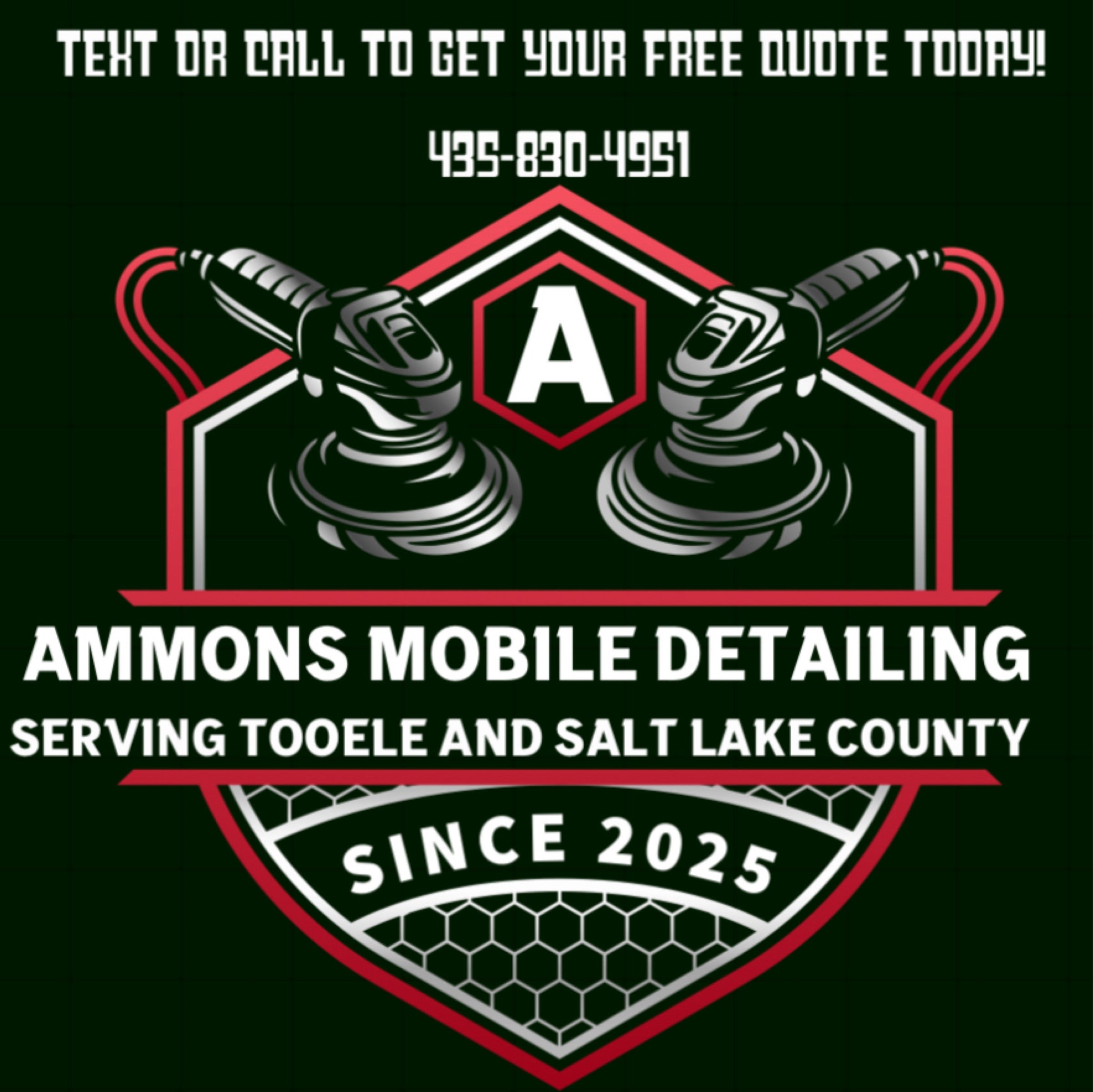 Ammons Mobile Detailing