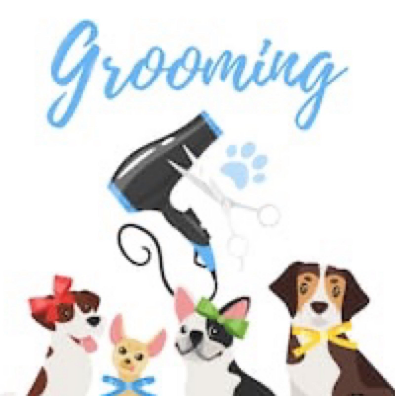 Wanna Biscuit? Bakery