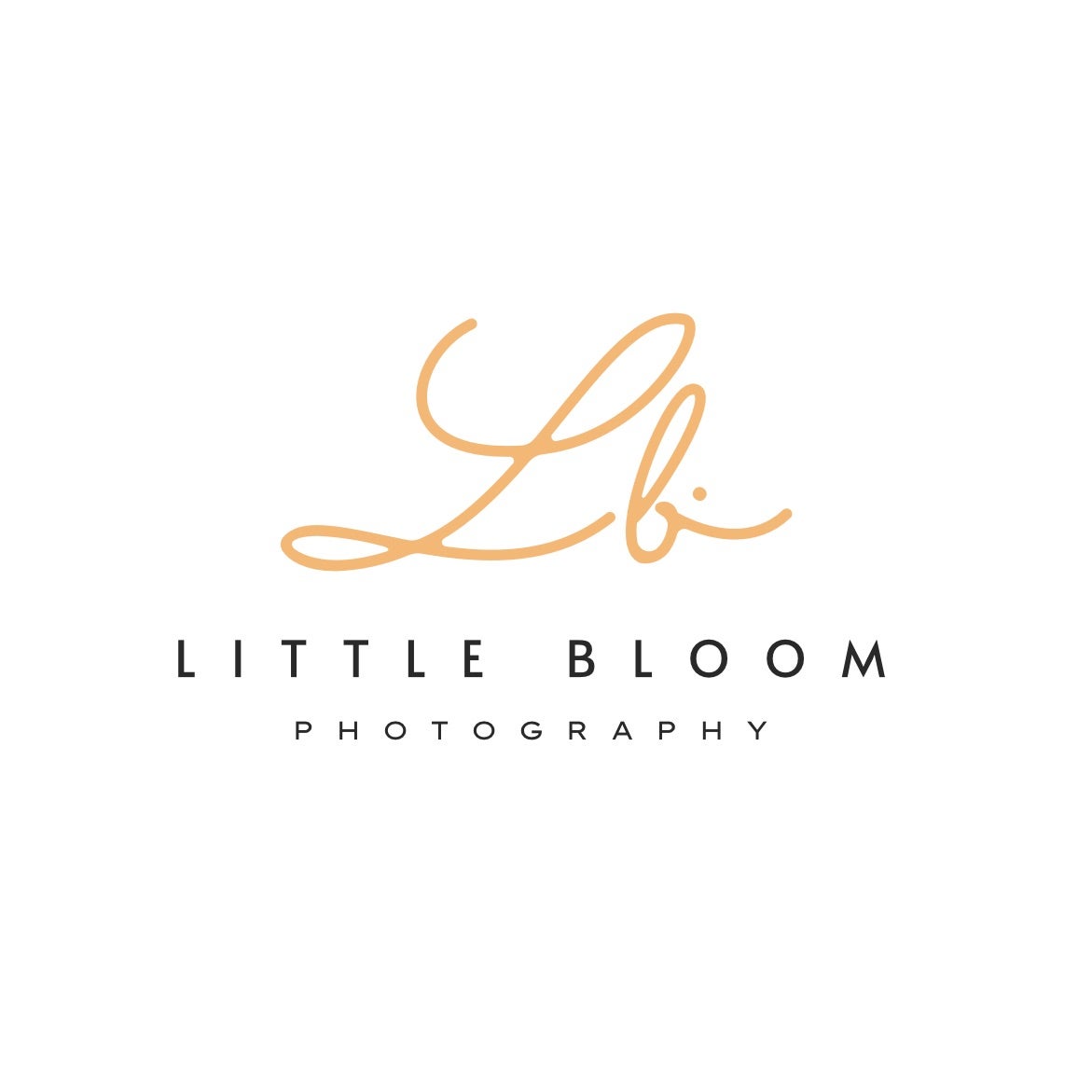 Little Bloom Photography