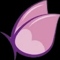 BODY SUGAR BOUTIQUE LLC