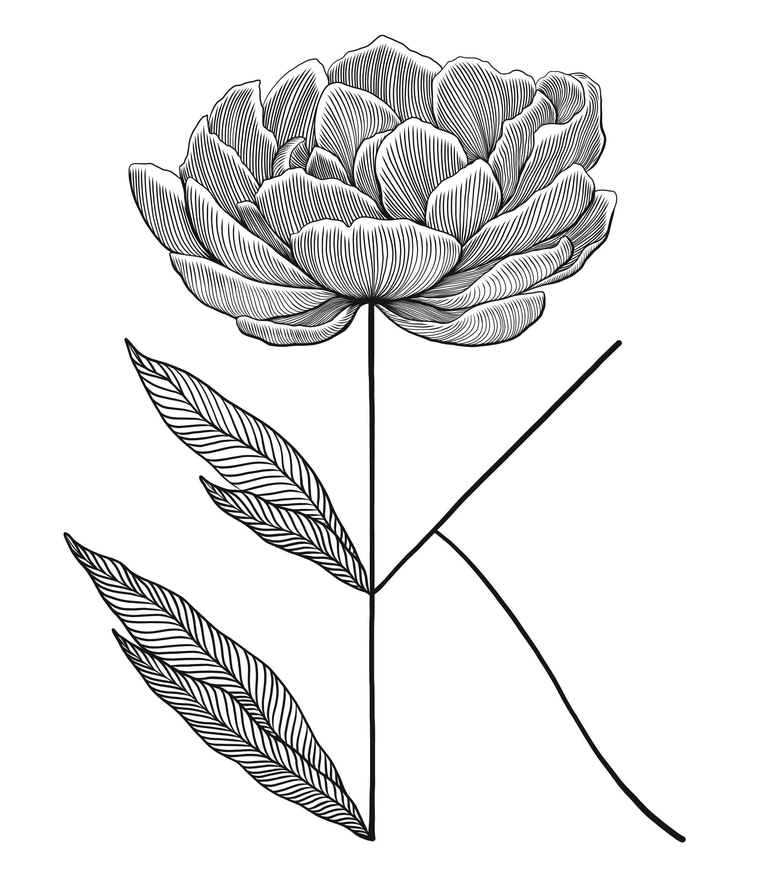 Kaleidoscope Floral