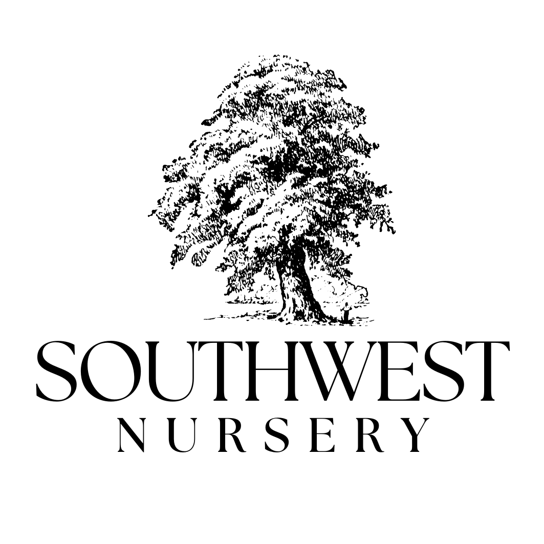 Southwest Nursery