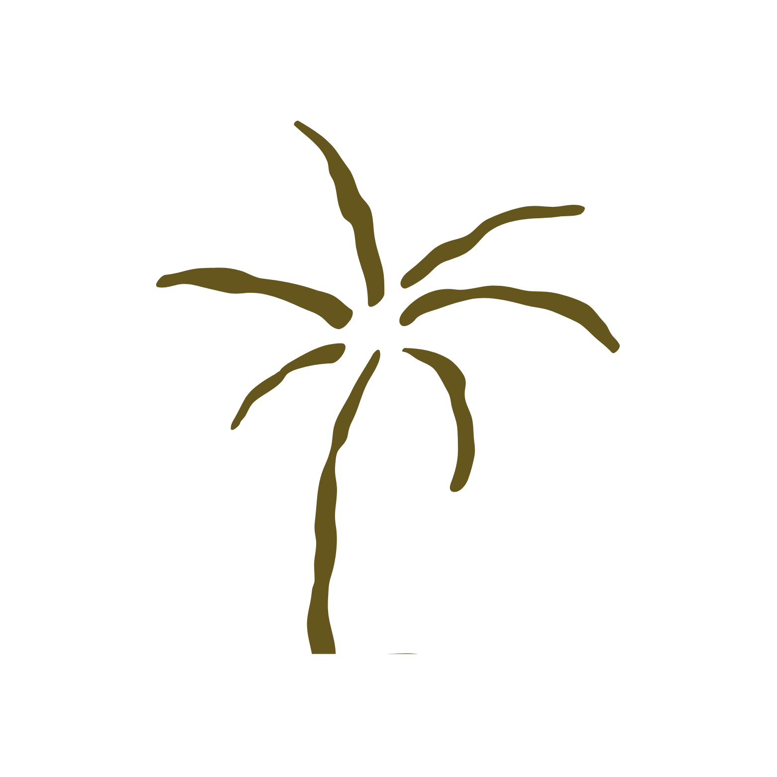 Toasted Coconuts Lounge LLC