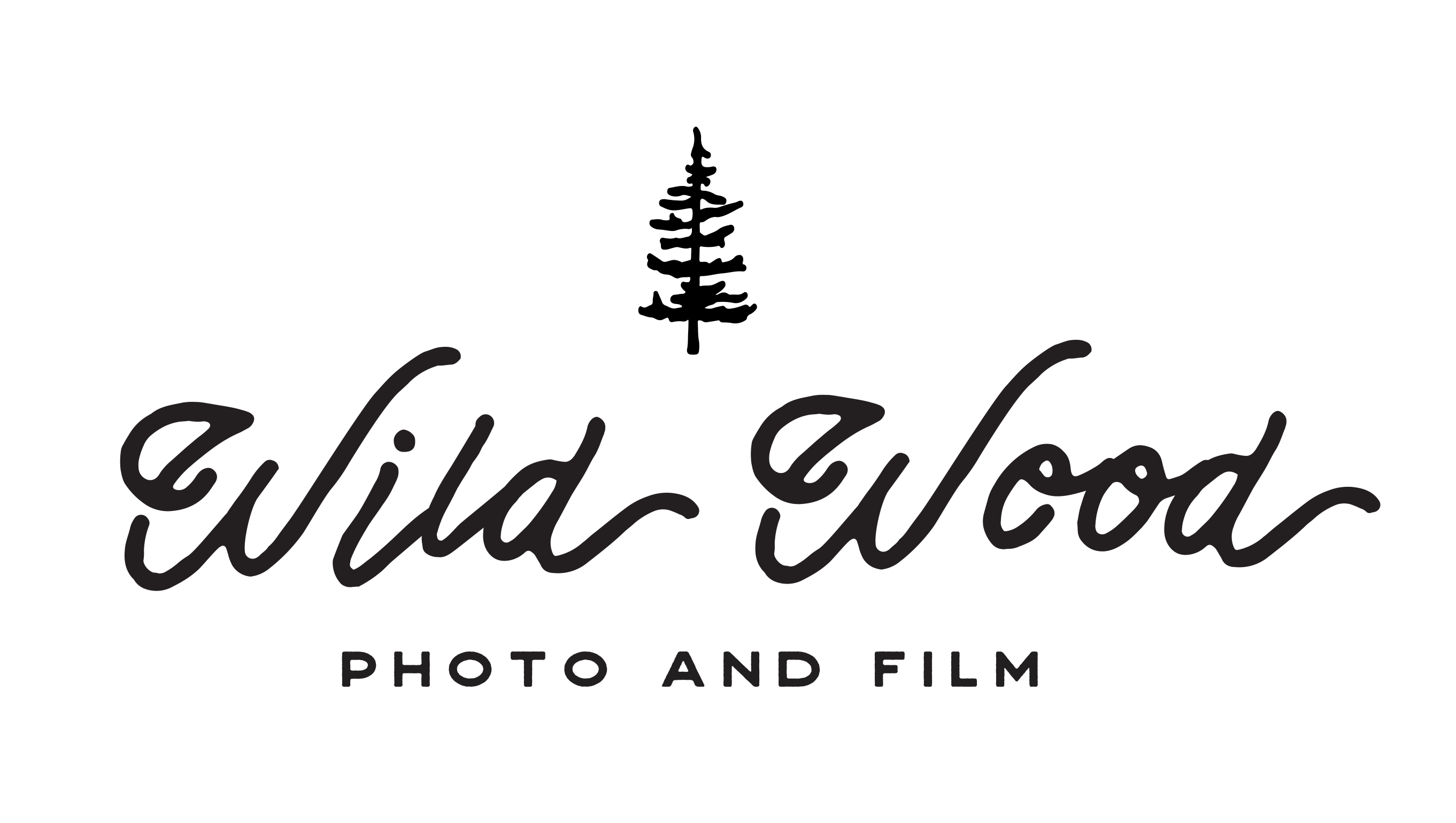 Wild Wood Photo and Film