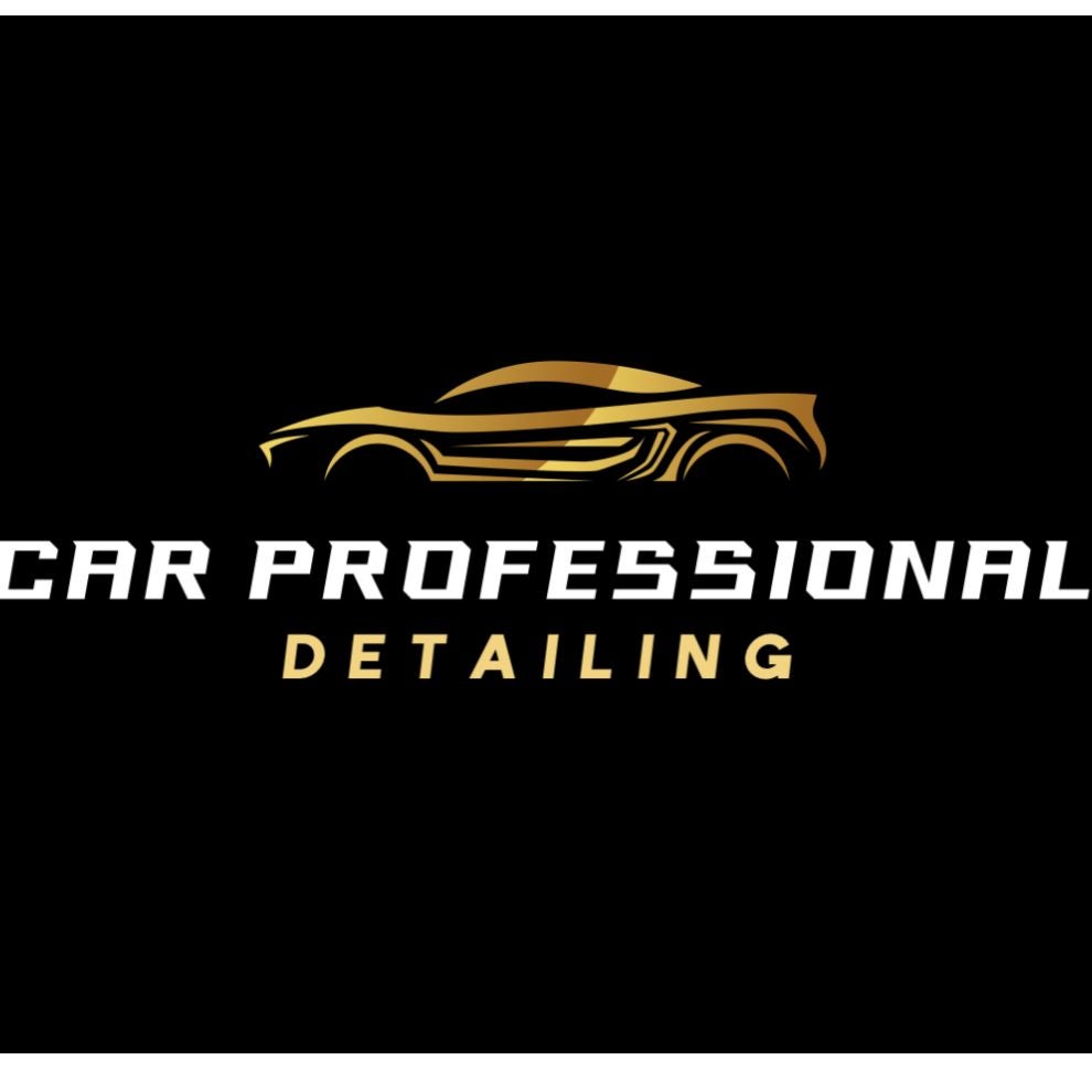 Car Professional Detailing