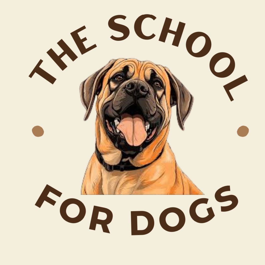 The School For Dogs