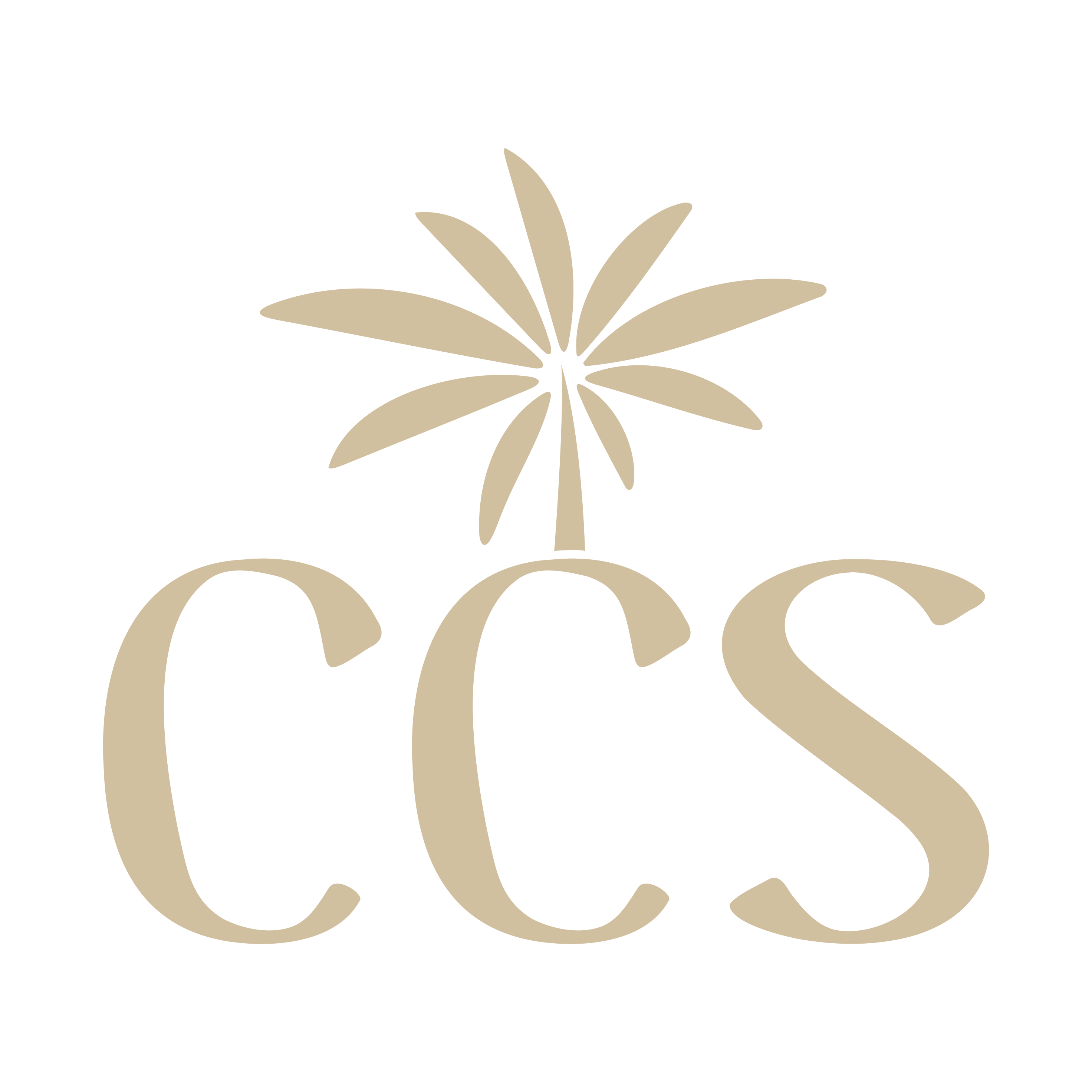 Coastal Complexion Studio