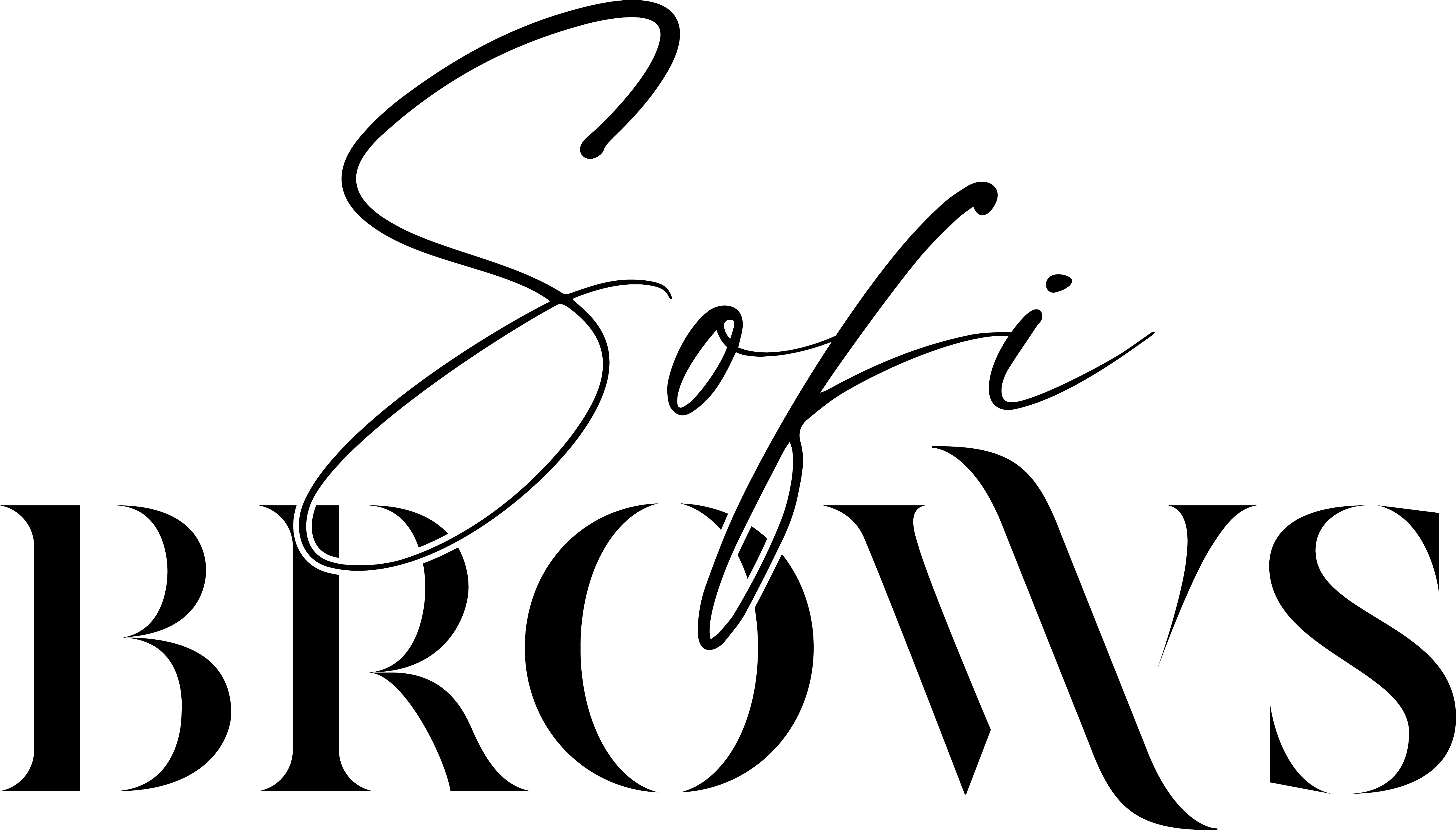 SofiBrows Artistry LLC