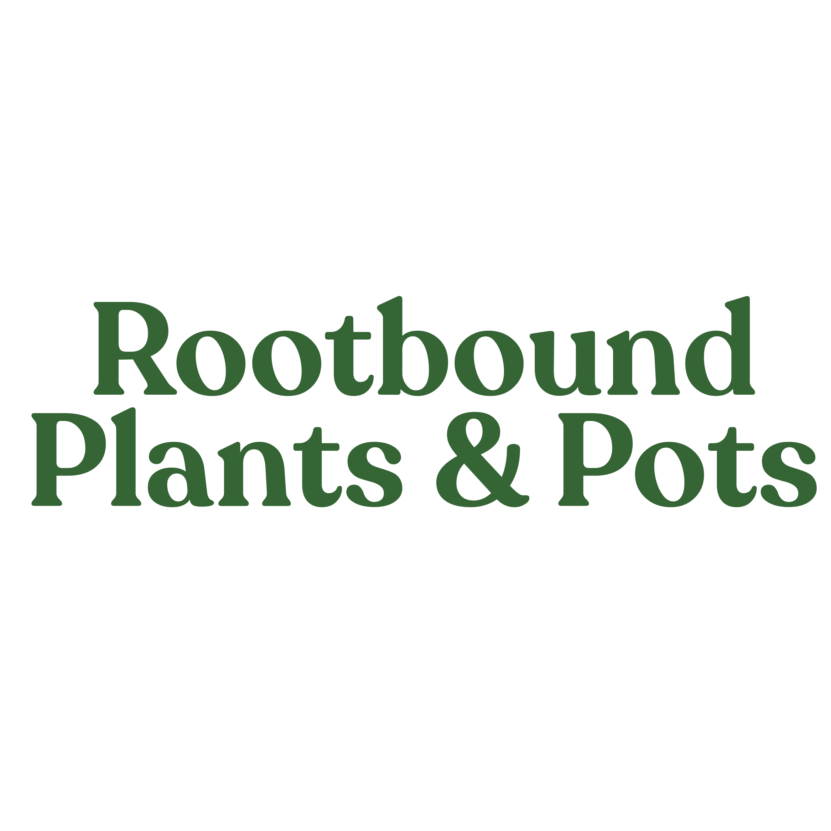 Rootbound Plants And Pots