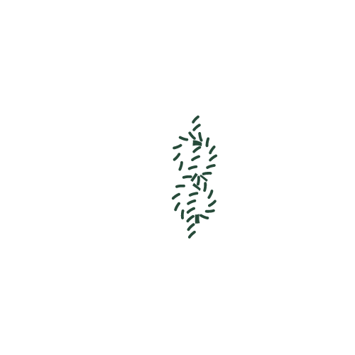 Why Knot? Kouture